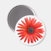 Red Devil Magneet (Voorkant / Achterkant)