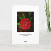Red Dianthus Avec Cartes de remerciements Raindrop (Dos)
