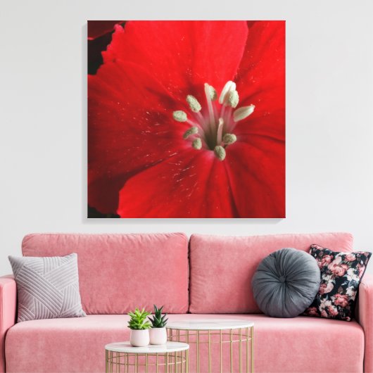 Red Dianthus Canvas Print (Insitu (Woonkamer))