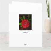 Red Dianthus met Raindrops Big Hartelijk dank Bedankkaart (Achterkant)