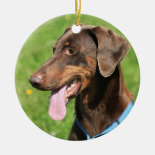 Red doberman keramisch ornament