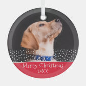 Red Dog Pet met kerstfeestdag Glas Ornament (Voorkant)
