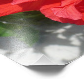 Red Double Hibiscus Flower Foto Afdruk (Hoek)