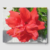 Red Double Hibiscus Flower Gastenboek (Achterkant)