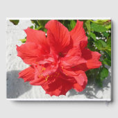 Red Double Hibiscus Flower Gastenboek (Achterkant)