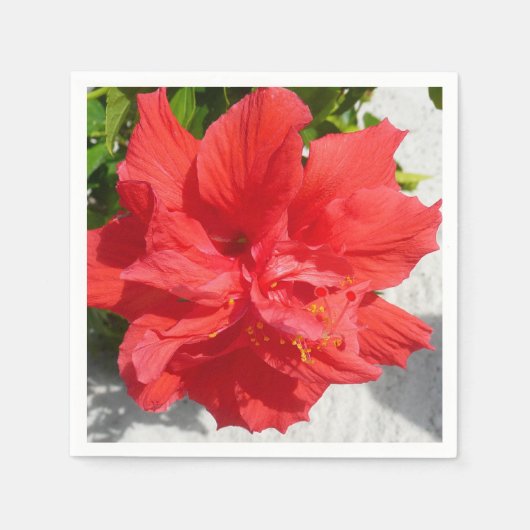 Red Double Hibiscus Flower Servetten (Voorkant)