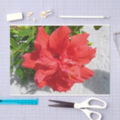 Red Double Hibiscus Flower Tissuepapier (Craft)