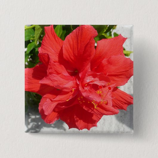 Red Double Hibiscus Flower Vierkante Button 5,1 Cm (Voorkant)