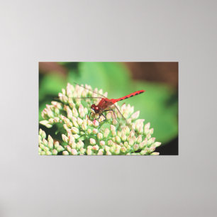 Red Dragonfly Floral Canvas Afdruk