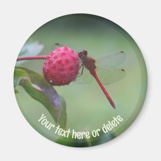 Red Dragonfly Nature Personalized Magneet (Voorkant)