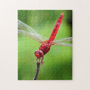 Red Dragonfly Puzzle Green Background Legpuzzel
