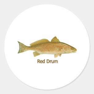 Red Drum (getiteld) Ronde Sticker