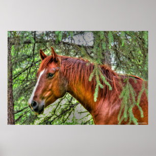 Red Dun Mare Horse in the Forest Equine Photo Poster