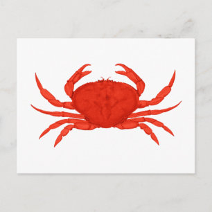 Red Dungeness Crab Logo Briefkaart