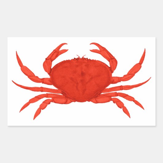 Red Dungeness Crab Logo Rechthoekige Sticker (Voorkant)