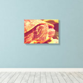 Red Ear Slider Turtle Canvas Afdruk (Insitu (Houten vloer))