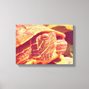 Red Ear Slider Turtle Canvas Afdruk