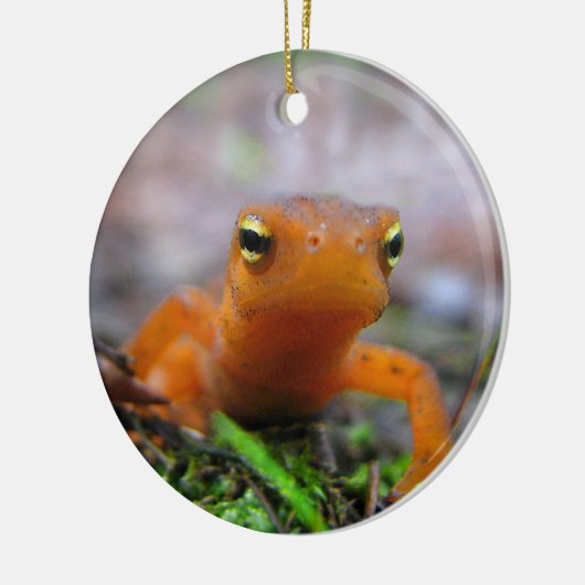 Red Eft kerstversiering Keramisch Ornament (Links)