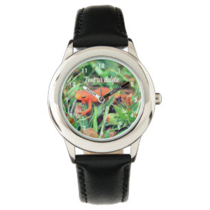Red Eft Oranje Salamander Natuur 1    Horloge