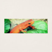 Red Eft Salamander Nature Mini Signet (Devant)