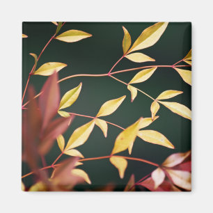 Red en Gold Magnet Magneet