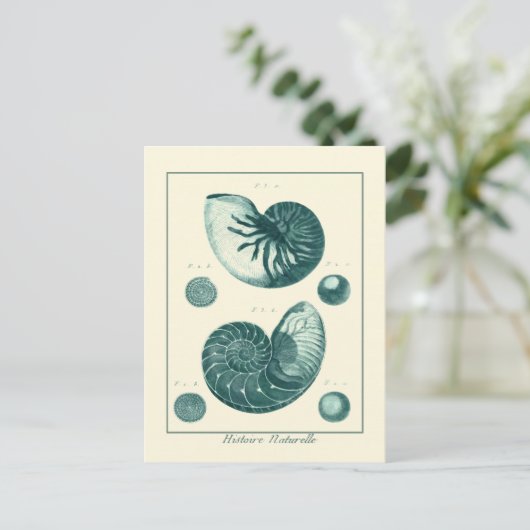 Red en Green Seashell Art Briefkaart (Staand voorkant)