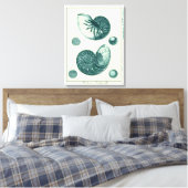 Red en Green Seashell Art Canvas Afdruk (Insitu (Slaapkamer))