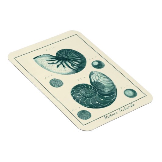 Red en Green Seashell Art Magneet (Rechterzijde)