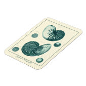 Red en Green Seashell Art Magneet (Linkerzijde)