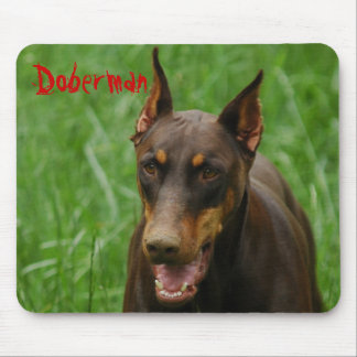 Red en Rust Doberman Muismat