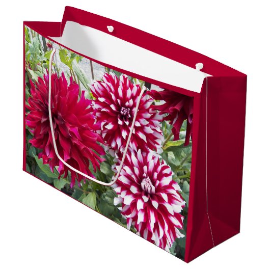 Red en White Dahlias Floral Groot Cadeauzakje (Voorkant Gekanteld)