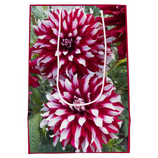 Red en White Dahlias Floral Medium Cadeauzakje (Achterkant)