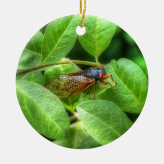 Red Eyed Cicada Keramisch Ornament (Voorkant)