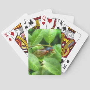 Red Eyed Cicada Pokerkaarten