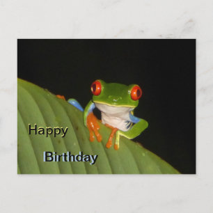 Red Eyed Gaudí Frog Happy Birthday Briefkaart