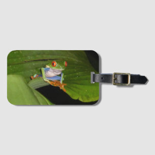 Red Eyed Gaudy Frog Bagagelabel