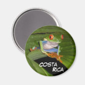 Red Eyed Gaudy kikker  magneet (Voorkant / Achterkant)