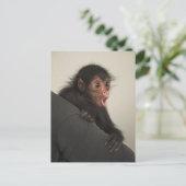 Red-faced Spider Monkey Ateles paniscus Briefkaart (Staand voorkant)