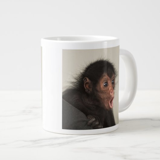 Red-faced Spider Monkey Ateles paniscus Jumbo Mok (Voorkant rechts)