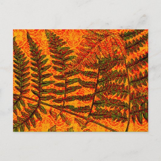 Red Fern briefkaart (Voorkant)