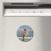 Red Finch Checking out the View. Magneet (Insitu (Vaatwasser))