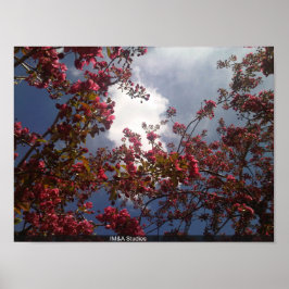 Red Floral Blossom 1 Poster