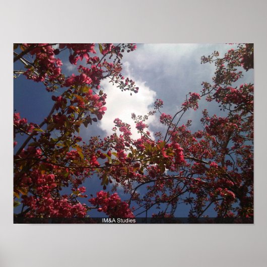 Red Floral Blossom 1 Poster (Voorkant)
