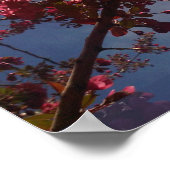 Red Floral Blossom 2 Poster (Hoek)