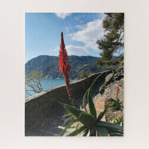 Red Flower Blue Zee Rocky Cliffs Puzzle Legpuzzel