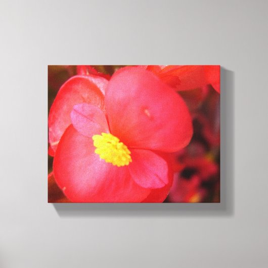 Red Flower Canvas (Voorkant)