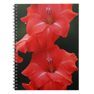Red Flowers Journal-Notitieboek Notitieboek
