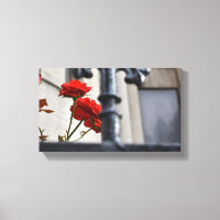 Red Flowers woedde Iron New York City fotografie