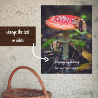 Red Fly Agaric Paddestoel in het bos