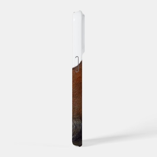 Red Fox (Côté droit)